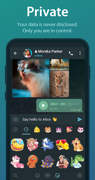 Telegram Mod